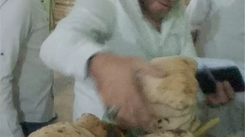 حملات تموينية في بني سويف تحرر 330 محضرًا خلال أسبوع
