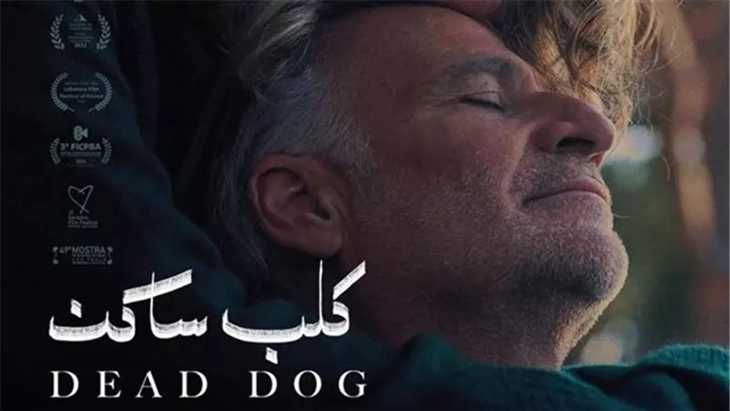 اليوم .. أبطال وصناع فيلمى 
