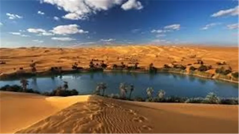 رحلتان مجانًا ومواد دعائية للترويج السياحي بأمريكا 