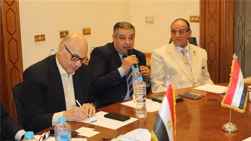 موسى مصطفى موسى: حزب الغد مستمر في أداء دوره الوطني