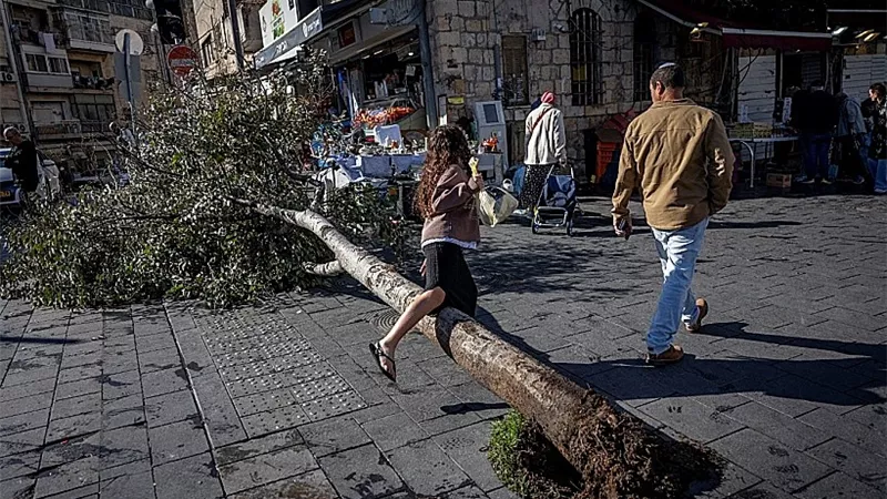 صواعق البرق تلتهم المزارع وتربك حركة الطيران في إسرائيل