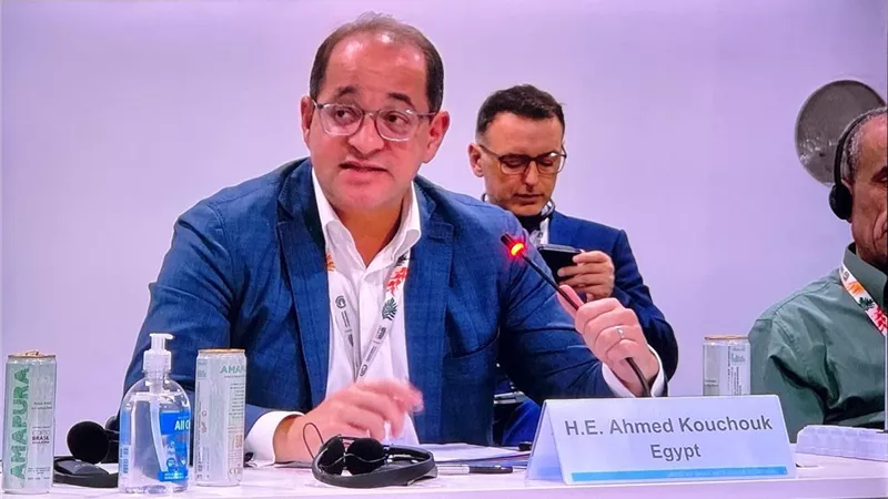 وزير المالية: نتطلع لدور أكبر للمؤسسات الدولية فى التمويل الأخضر الميسر  