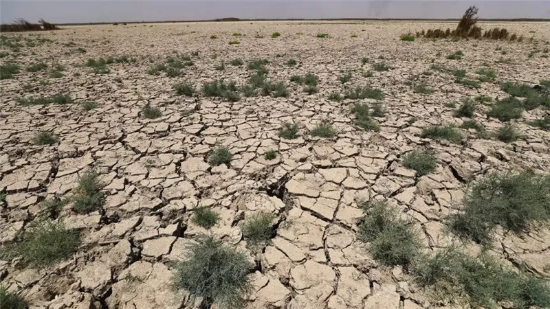 تدهور 34% من الأراضي الزراعية عالميًا.. مسؤول أممي يحذر