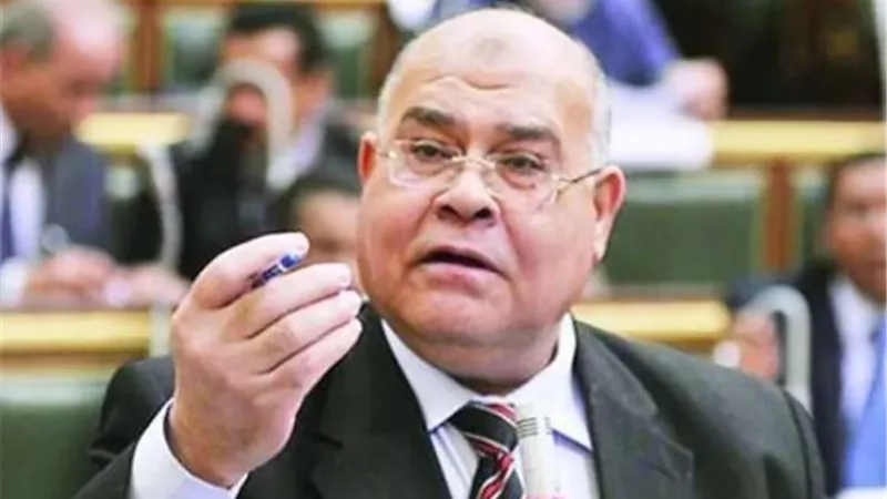 ناجى الشهابي: استجابة الرئيس السيسي اليوم تعكس مطالبنا لحماية إرادة الشعب
