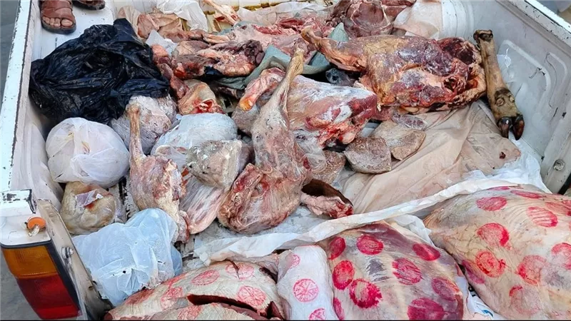 ضبط 75 طن لحوم غير صالحة للاستهلاك الآدمي في حملات بيطرية بالقليوبية