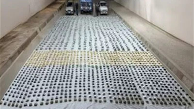 ضبط تشكيل عصابى بحوزته  طن هيدرو و750 كجم حشيش بقيمة 150 مليون جنيه بالسويس