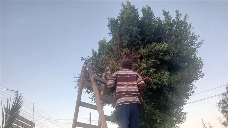 حملات مكثفة بالطود.. تحركات عاجلة لملفات التصالح والإزالات والنظافة ورفع كفاءة