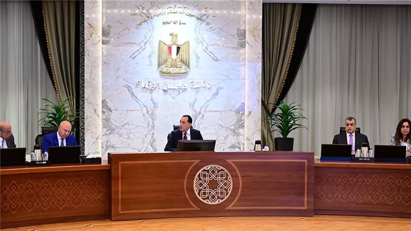 رئيس الوزراء يترأس اجتماع المجلس الأعلى للطاقة|صور