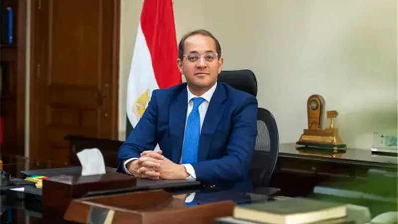 وزير المالية يعلن حزمة التسهيلات الضريبية الجديدة الأسبوع المقبل