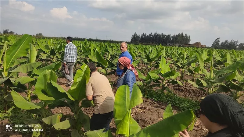 الزراعة تكشف عن أبرز جهود وأنشطة الوزراة خلال شهر أكتوبر 