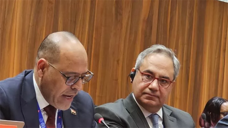 وزير العمل في مداخلة أمام مجلس إدارة منظمة العمل الدولية بجنيف