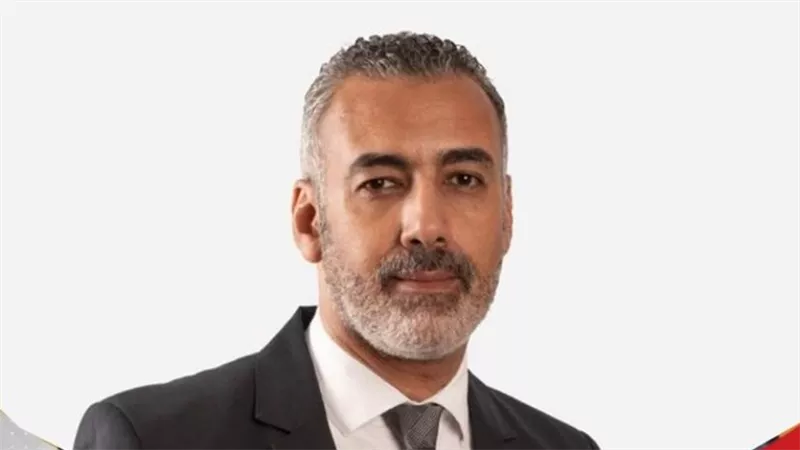 أحمد السيد: قرارات الرئيس والهيئة الوطنية رسخت العدالة الانتخابية