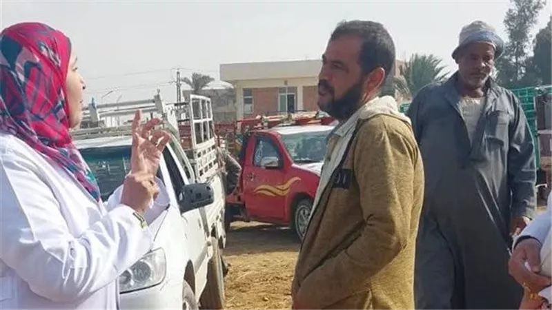 بيطري السويس تتابع تحصين الحيوانات الحية بسوق قرية كبريت ضد الحمي القلاعية 