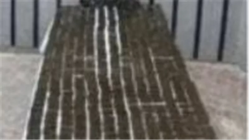 ضبط بؤرة إجرامية بالإسكندرية ومطروح  بحوزتهما مخدرات وأسلحة بـ75 مليون جنيه