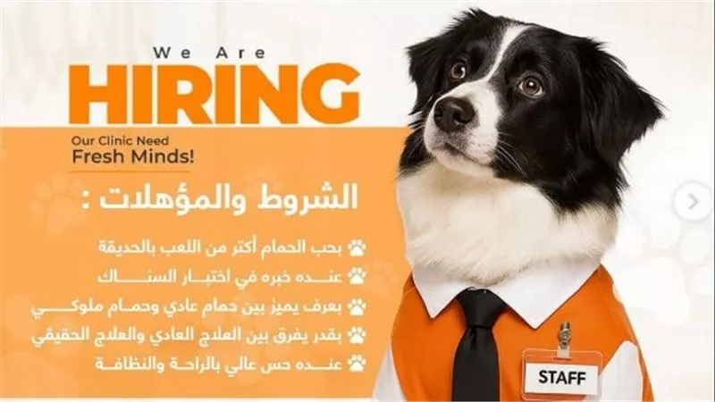 بمواصفات خاصة.. عيادة إمارتية تُعلن عن حاجتها لتوظيف كلب