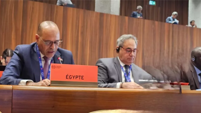 مصر تشيد بدور منظمة العمل الدولية في دعم العمل اللائق للفلسطينيين