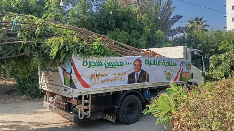 «بسيون» تتنفس أخضر.. غرس 90 شجرة جديدة تعيد رسم ملامح المدينة