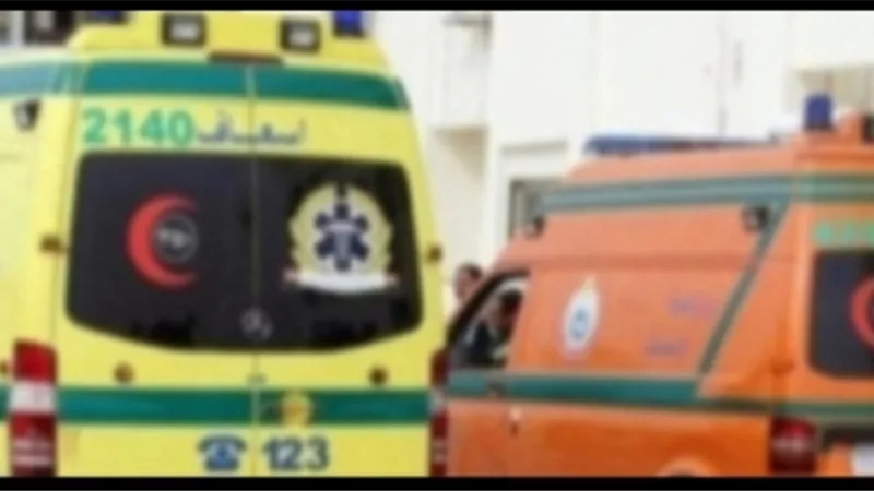 بسبب خلافات على الميراث.. مقتل شاب وإصابة زوجته على يد شقيقه