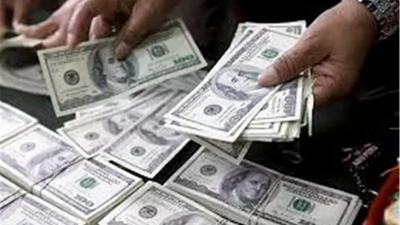 التعبئة والاحصاء: 11.3 مليار دولار تحويلات للمصريين من مجموعة دول العشرين 