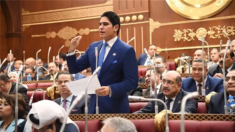 برئاسة أبو هشيمة.. اقتصادية الشيوخ تناقش تعديلات الضريبة العقارية غدًا