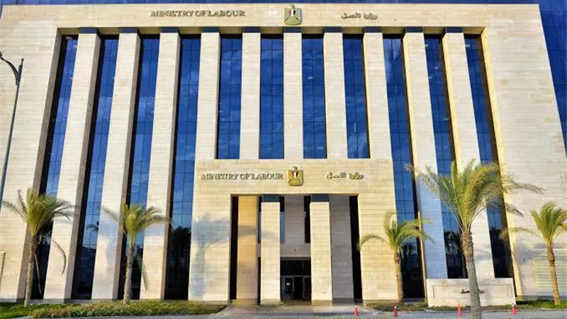 75 ألف فرصة تدريبية مجانية.. 