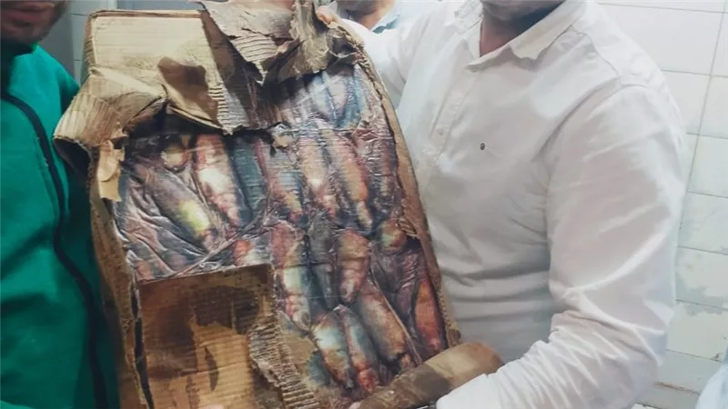 القليوبية تضبط 130 طن لحوم ودواجن وأسماك غير صالحة للاستهلاك خلال نوفمبر