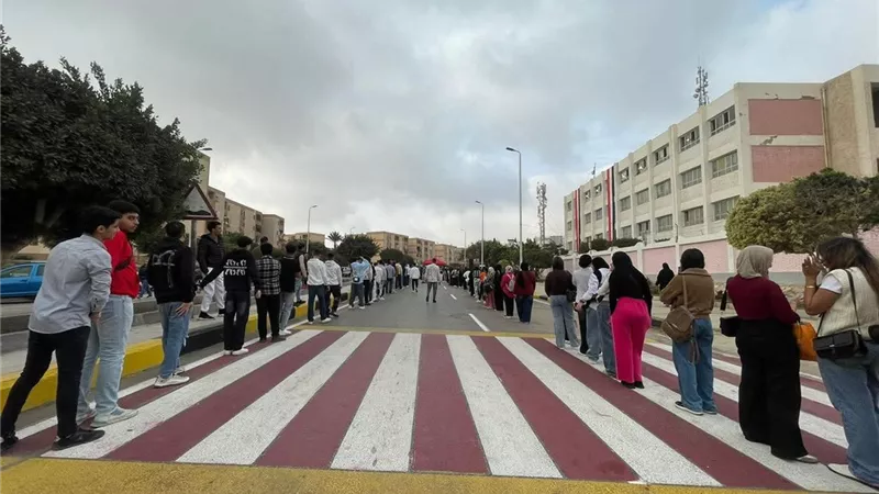 الدوائر الملغاة بأحكام القضاء.. كيفية المشاركة فى انتخابات النواب بالخارج