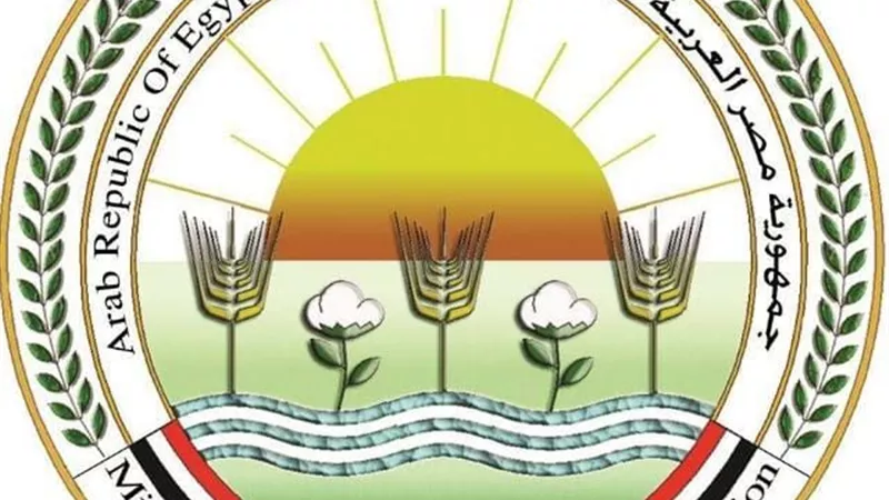 وزير الزراعة يشيد بجهود منظومة جمع وتدوير قش الأرز في 7 محافظات