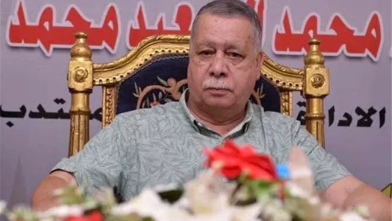 «ريشو» رئيسا لقطاع كهرباء العطف والمحموديةً.. و«الغزالي» مديرا عاما بطلخا 
