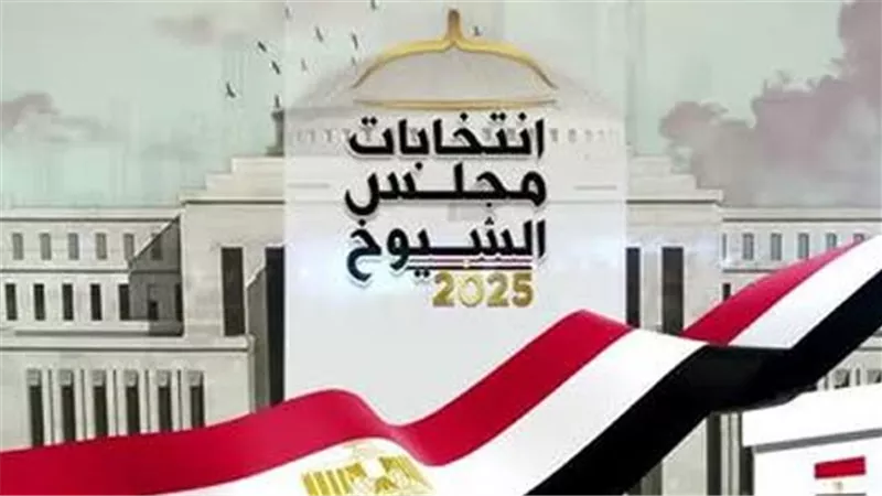 انطلاق جولة الإعادة لانتخابات النواب للمصريين في اليونان وسط تنظيم مشدد