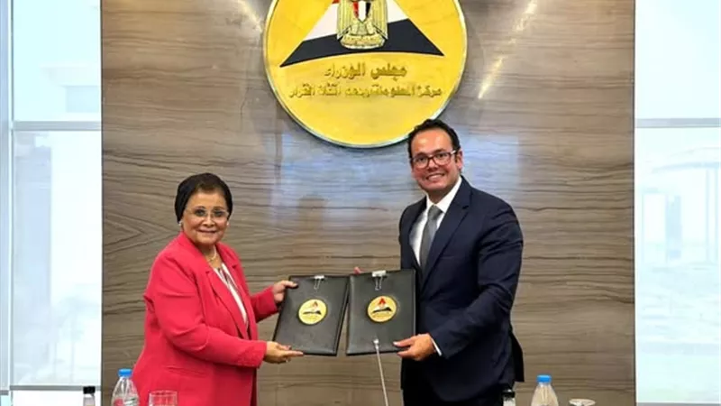 استمرار آفاق التعاون بين القومي للسكان ومركز المعلومات ودعم اتخاذ القرار