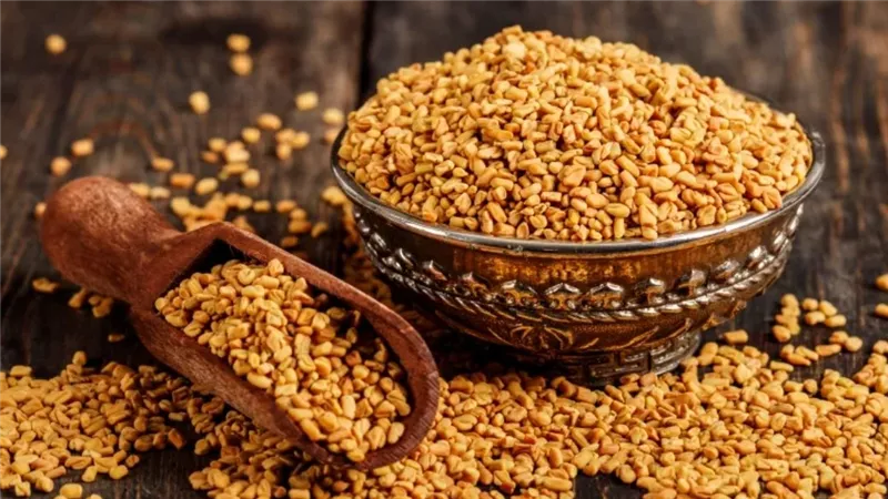 الحلبة في الشتاء .. مشروب ضعيف الشعبية لكنه قوي الفوائد