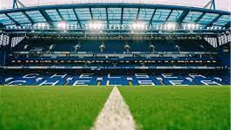 فيديو| ثعلب يثير الذعر في استاد تشيلسي قبل مواجهة برشلونة بدوري الأبطال