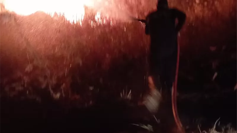 حريق بمزرعة الصرف الصحي بالكولا بسوهاج.. والتحقيقات جارية