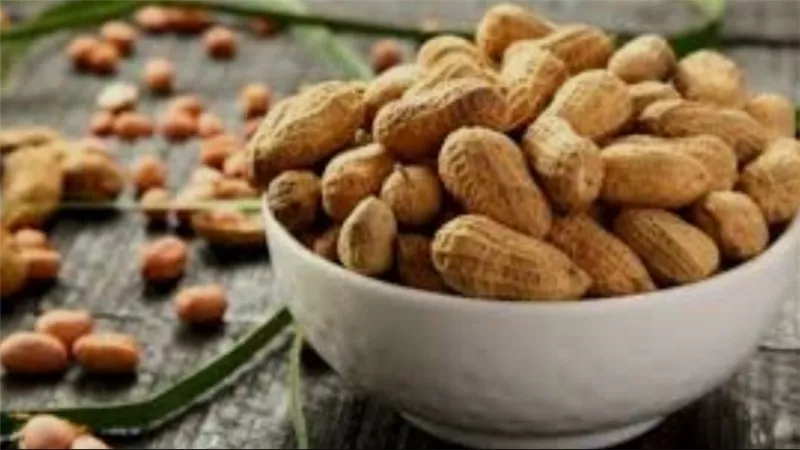 فوائد الفول السوداني في الشتاء .. اكتشف ماذا يفعل لجسمك