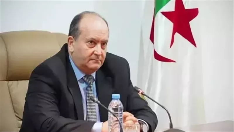 سيفي غريب: الزخم التاريخي بين مصر والجزائر يشجع على التواصل والتكامل بيننا