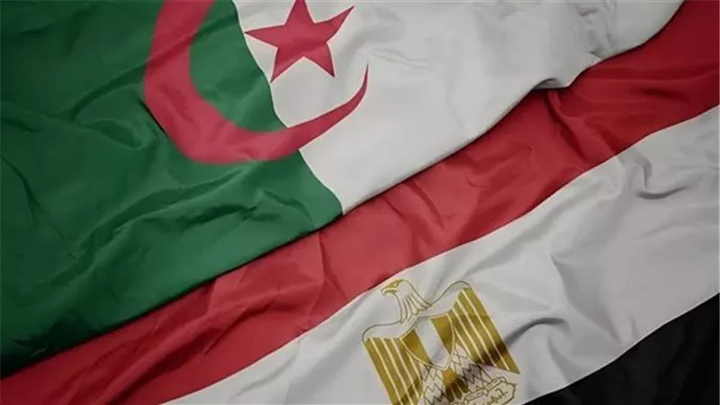اقتصادي: المستهدف من التبادل التجاري بين مصر والجزائر 5 مليارات دولار
