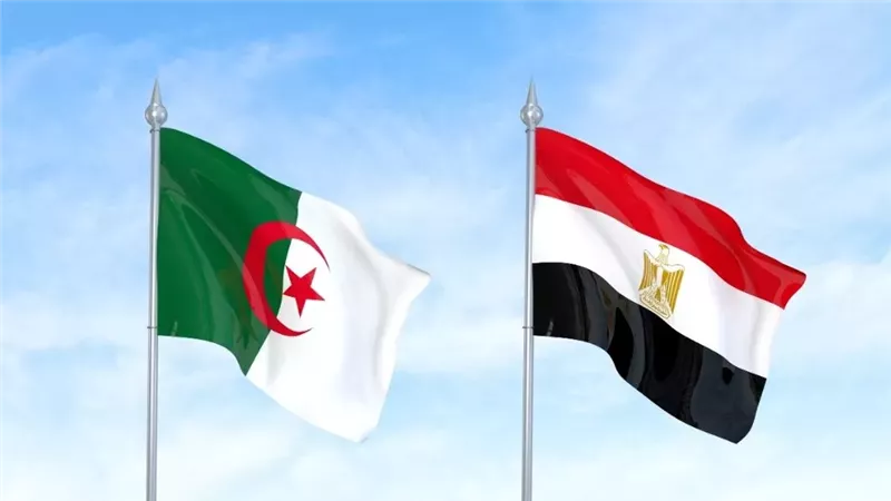 خبير اقتصادي: هناك أكثر من 50 شركة مصرية تعمل بالفعل في السوق الجزائري 