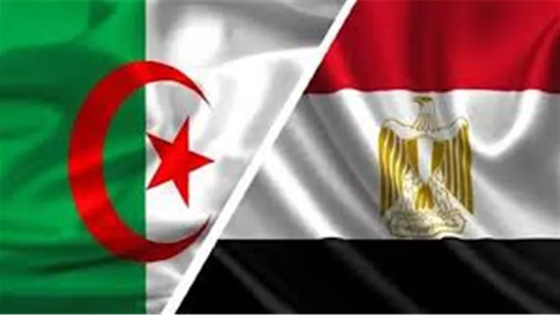 الجزائر تستنكر الهجوم على ميناء دمياط وتؤكد تضامنها الكامل مع مصر