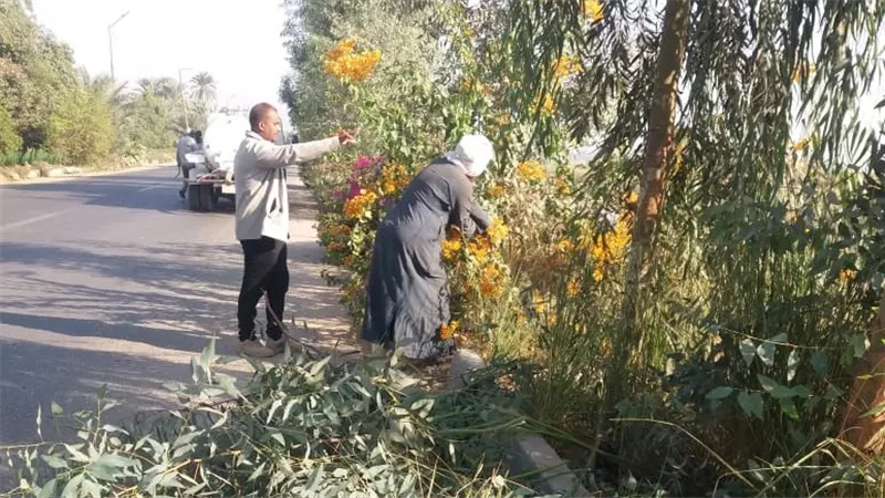 بتوجيهات محافظ الأقصر.. الطود تواصل خطة الارتقاء بالبيئة والخدمات
