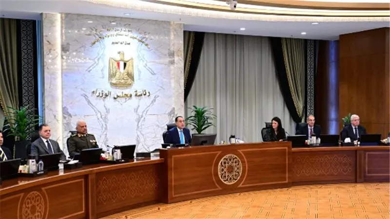 رئيس الوزراء: لا فيروسات غريبة.. وما نشهده هو أنفلونزا موسمية عادية