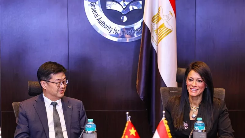 «المشاط»: توسيع نطاق التعاون مع القطاع الخاص في ظل الشراكة الاستراتيجية 