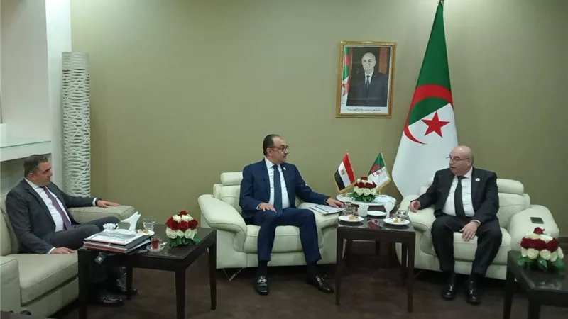 تعزيز الشراكة الصناعية بين مصر  والجزائر بمجال الأدوية ودعم الأمن الصحي افريقي