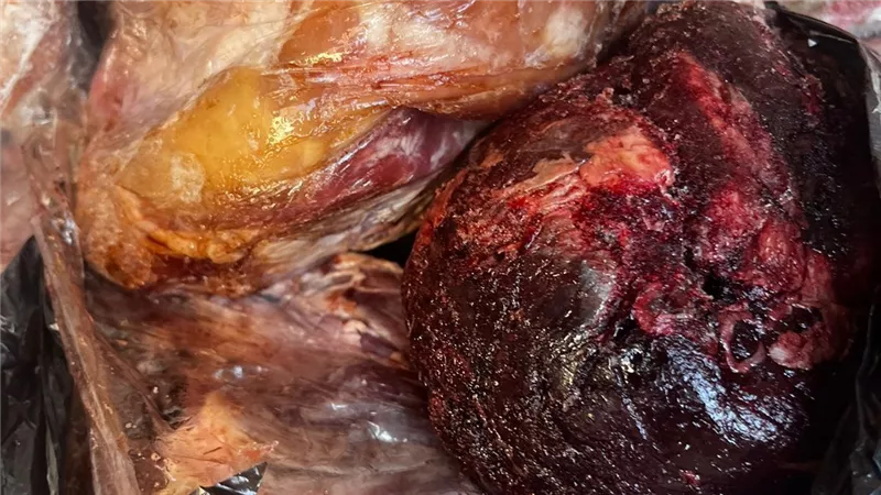 بيطري الأقصر يحبط محاولة طرح لحوم فاسدة بأختام مزورة.. اعرف التفاصيل