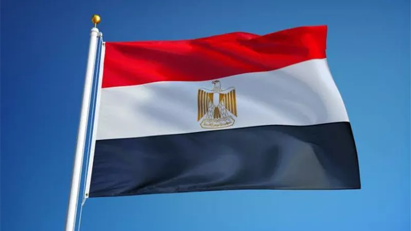 صناعة الأخشاب: نثمن إطلاق مركز تحديث الصناعة.. هو ما نحتاجه