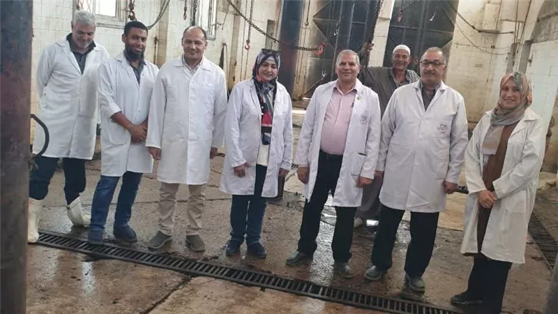 «بيطرى الشرقية»: التفتيش علي 12 ألف و750 رأس ماشية في 17 مجزرا حكوميا