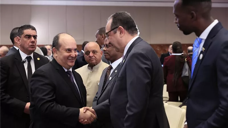 الشيمي: العلاقات المصرية الجزائرية تاريخية وراسخة.. وحريصون على تعزيز التعاون