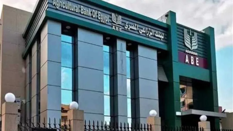 البنك الزراعي يدعم المشروعات الصغيرة عبر برنامج 