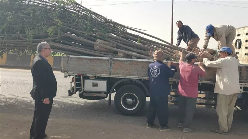 الدقهلية تزرع المستقبل.. آلاف الأشجار الجديدة ضمن خطة 100 مليون شجرة