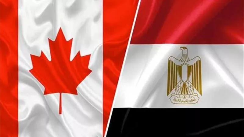التمثيل التجاري يلتقي الاتحاد الكندي للهيدروجين لتعزيز الاستثمارات في مصر